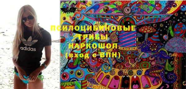 гидропоника Белокуриха